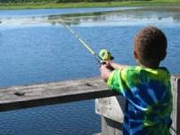 Knee High Naturalist – August Program: It’s a Fishy Day!!!