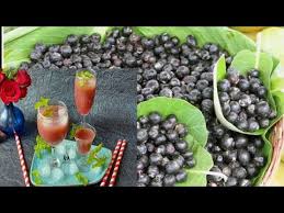 Phalsa (grewia asiatica l., tiliaceae) is an exotic bush plant considered horticulturally as a small fruit crop but also used as a folk medicine. Healthy Phalsa Juice Recipe Benefits Of Phalsa Karvand Juice How To Make Healthy Falsa Juice Youtube