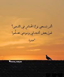 عنترة شعر غزل سأ ض م ر وجدي في فؤ ادي وأك ت م وأ س هر ليلي والعواذل نو م وأط مع من د هري بما لا أناله وألزم منه ذ What Is Islam Country Life Sayings