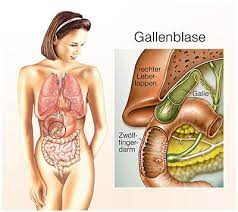 Gallenblasenentzündung - Ursachen, Symptome & Behandlung | MedLexi.de