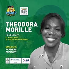 Pilots /Interventions addressing challenges in the Food Environment