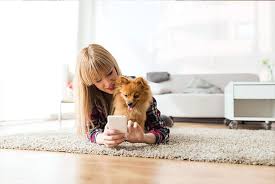 Penny paws animal clinic is dedicated to providing quality, friendly, fast and compassionate care to your dogs and cats at an affordable price. Online Vet Visits In Dallas Tx Rutherford Veterinary Hospital