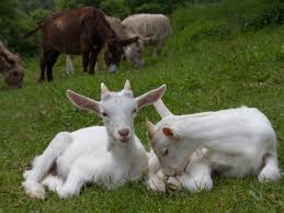 See more of camping au bout du monde on facebook. Camping Le Bout Du Monde