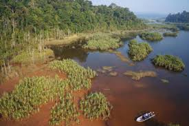 The curse is now reversed and the creature she married transform into a king. Peter Van Der Helm Orang Asli Tasik Chini Map Of Tasik Chini And Other Facts