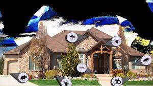 Decide if hiring a pest control company is the best option or if you can handle it yourself with diy solutions. Do It Yourself Pest Control Vs Hiring An Expert