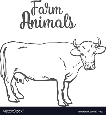 I have always been drawing ever since i could hold a pencil! Images Of Farm Animals Drawing Pictures