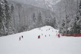 See more of partia nemira slanic moldova on facebook. Prima PaginÄƒ Partia Nemira