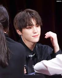 Svt Dino Dino Seventeen Seventeen Kpop Seventeen