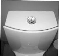 WHAMVOX Pulsante Di Scarico Doppio Per Wc in Plastica - Installazione  Rapida - Argento - Rotondo Da 48 Mm : Amazon.it: Fai da te