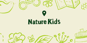 Nature Kids: Wildlife in our Woods