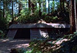 Return Of The Jedi Battle Of Endor Endor Star Wars Backyard
