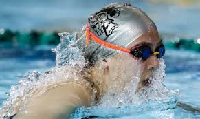 The 2019 lehighvalleylive All-Area Girls Swimming and Diving Team