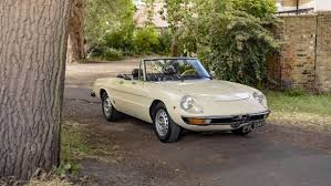 Image result for Avorio 1980 Alfa-Romeo