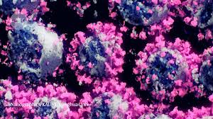 Meaning of induced mutation medical term. Coronavirus In 3d Mutation Origins And India Invests In Virology