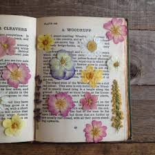 Atau bisa juga mencari kumpulan gambar mewarnai di toko buku. 3 Cara Mengeringkan Bunga Agar Tetap Cantik Dilengkapi Inspirasi