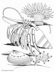Pop manga mermaids and other sea creatures: 111 Sea And Ocean Animals Coloring Pages To Print
