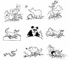 Ausmalbilder tiere ausmalbild viele eichhörnchen ausdrucken. Kostenlose Malvorlage Tiere Tiere In Amerika Zum Ausmalen