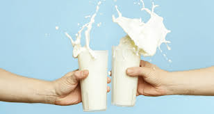 lactose intolerance in babies hipp organic