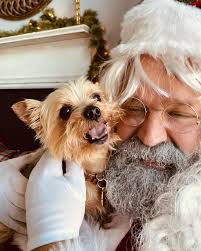 Piper Pals Petcare & Photography