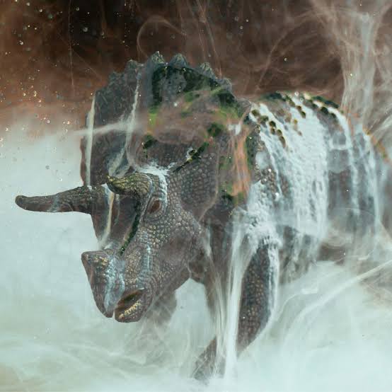 Did fungi give mammals an evolutionary edge after the dinosaur-killing asteroid hit? New evidence revives a provocative hypothesis | Live Science