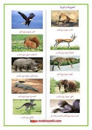 الحيوانات البرية العاشبة و اللاحمة موقع مدرستي