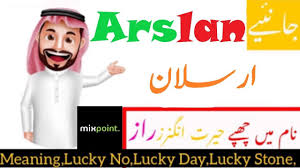 Arslan Name Meaning In Urdu Boy Name ارسلان In 2020 Names With Meaning Boy Names Muslim Boy Names