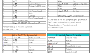 E A S Y Routine From The Baby Whisperer Noob Mommy Baby Schedule Baby Whisperer 4 Month Old Schedule