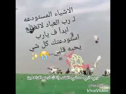 ربي اني مسني الضر وانت ارحم الراحمين Youtube
