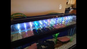 These brackets/metal legs adjust by a simple the lights mentioned in this article are all leds and they are extremely affordable for how much light they provide. Big List Of The Best Led Lights For Freshwater Aquariums In 2021