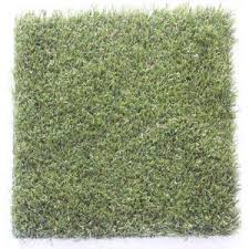 14kt gold, white gold, yellow gold. Carpet Sample Trugrass Color Pets Turf Gold Artificial Grass 8 In X 8 In Te 853672 301970091