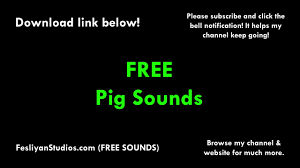 Music player with 3d surround sound and eq for android & read reviews. Free Pig Sound Effects Mp3 Download Fesliyanstudios