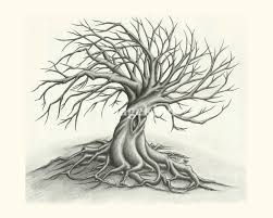 Twisted Tree By Sonny Bergum Tree Drawing Twisted Tree Tree Trunk Drawing