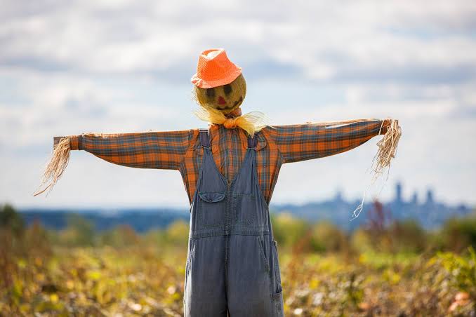 How to Scare Crows Away: Make a Garden Scarecrow – Mother Earth News