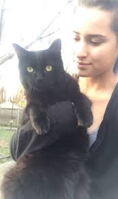 Lost Pets Of Livingston Parish Group