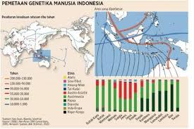 Jadi, hampir setiap daerah atau pulau yang ada di indonesia mempunyai suku sendiri. Daftar Suku Bangsa Di Indonesia Halaman All Kompas Com