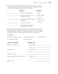Nervous system, neural tissue, neurons, neuroglia, conduction, depolarization, repolarization, transmembrane potential, saltatory propagation, continuous. The Nervous System Lake County Schools Overview Flip Ebook Pages 1 12 Anyflip Anyflip