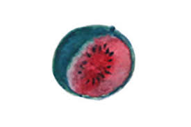 Click to see full answer. Watermelon Diyseeds