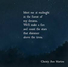 20 Funny Quotes That Remind You That Karma Is Always Watching Good Night Quotes Love Poem For Her Midnight Quotes