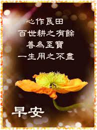 pin on 早安你好