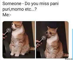 Someone Do You Miss Panipuri Momos Etc Meanwhile Me Meme Memezila Com