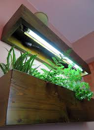 Create a beautiful indoor visual display for your home or workplace with opcom grow wall. Kitchen Grow Light Shelves For Herbs Halleck Horticultural Indoor Herb Garden Indoor Grow Lights Grow Lights