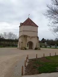 Image result for Vausagesia