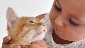 Har du gitt barnet ditt et dyrenavn?