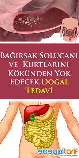 Bagirsak Solucani Ve Kurtlarini Yok Etmenin En Iyi Yolu Health Diet And Nutrition Herbal Medicine
