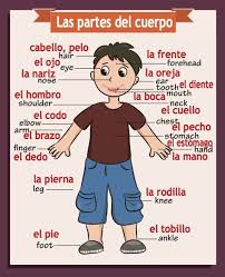 Pin On Spanish Worksheets