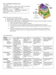We did not find results for: Cell Model Assignment 3 D Modeling Organelle