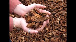 We did not find results for: The Best Garden Bark 2016 Youtube