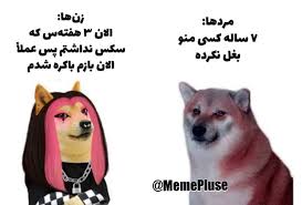 گربه گِریان on X: Sex? t.coyJQ7VKizKr  X