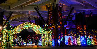 Christmas At The Zoo Indianapolis Zoo