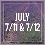 19th Annual NY Lavender Festival